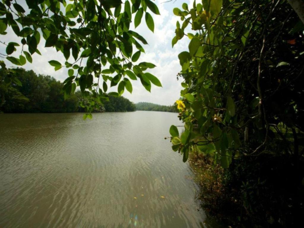 Mangrove Escapes Resort Bentota Exterior foto