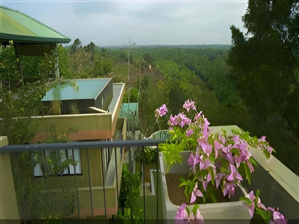 Mangrove Escapes Resort Bentota Exterior foto