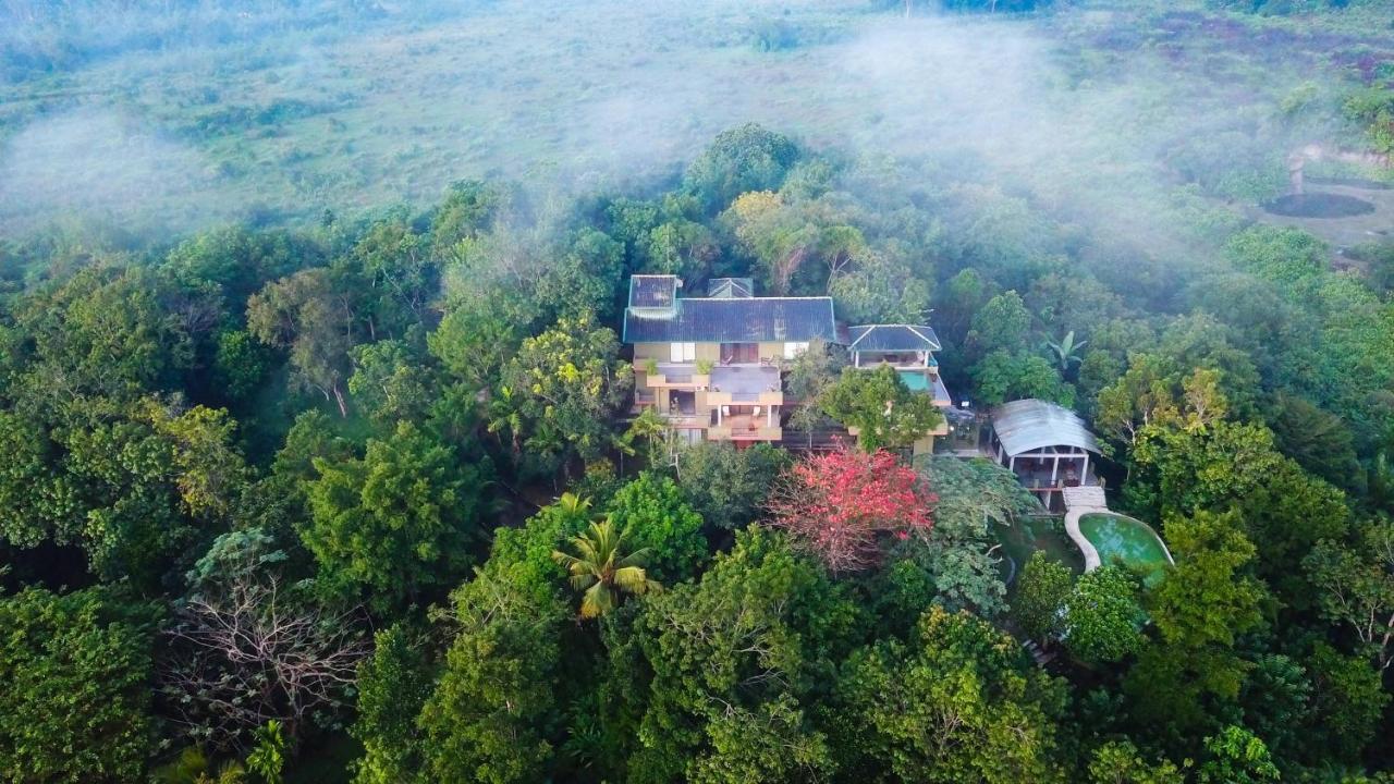 Mangrove Escapes Resort Bentota Exterior foto