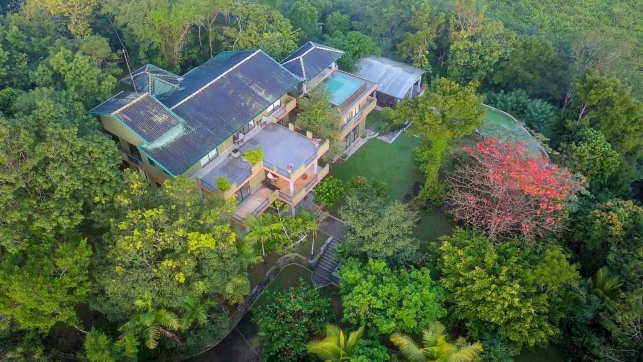 Mangrove Escapes Resort Bentota Exterior foto